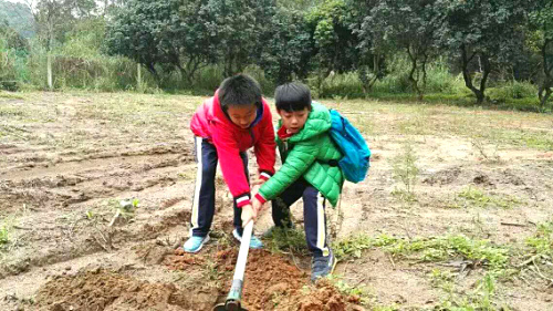 深圳九龍山生態(tài)園公司出游+親子互動+朋友聚會一日游方案