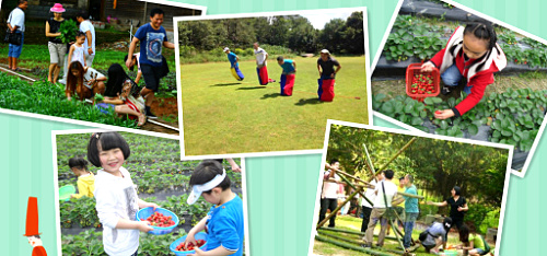 深圳九龍山生態園親子游休閑一日游