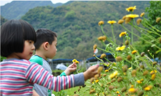 深圳九龍山生態園的歡樂親子一天游