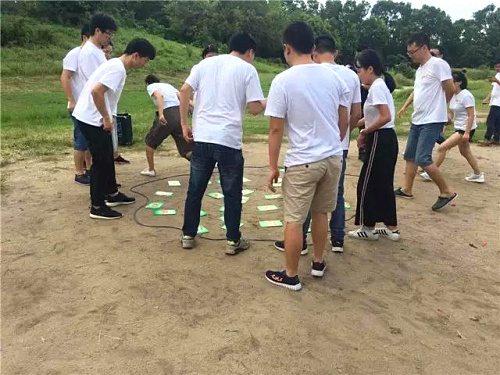 好掌柜公司來深圳九龍山生態(tài)園舉辦拓展訓(xùn)練活動(dòng)