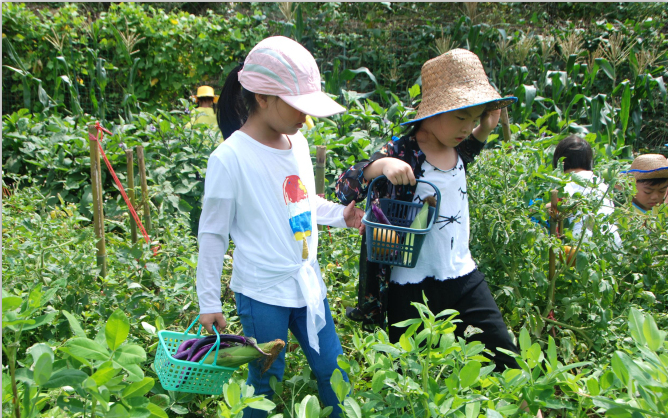 深圳市羅湖區(qū)實驗嘉寶田幼兒園九龍山生態(tài)園親子一日游