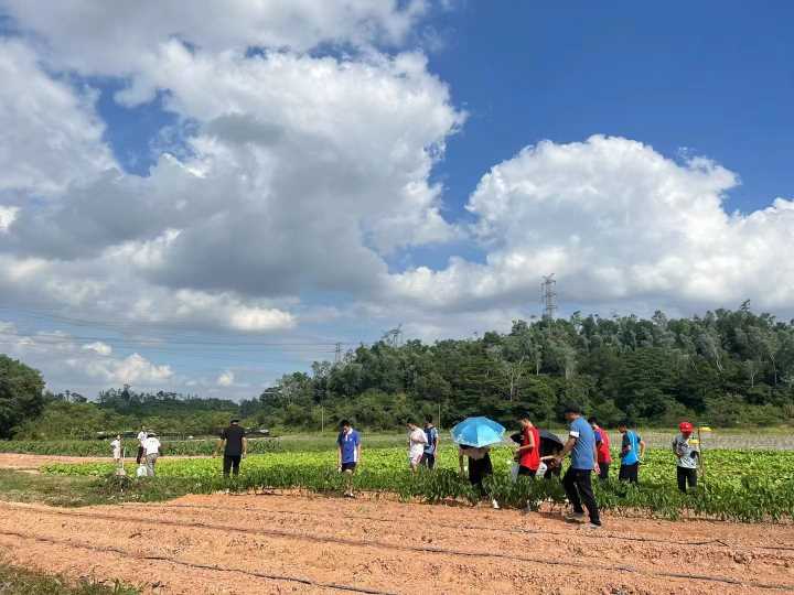 深圳生態(tài)園戶外野炊燒烤假期出行游玩項(xiàng)目超多適合家庭出游公司團(tuán)建